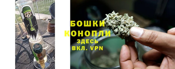 шишки Дмитров