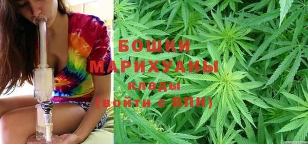 шишки Дмитров