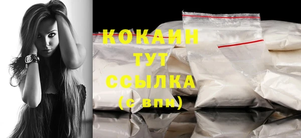 шишки Дмитров