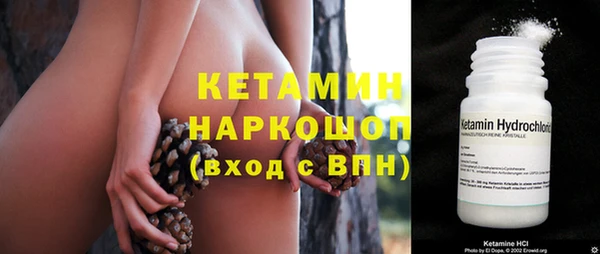 шишки Дмитров