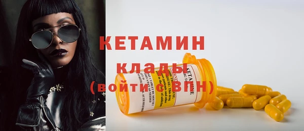 шишки Дмитров