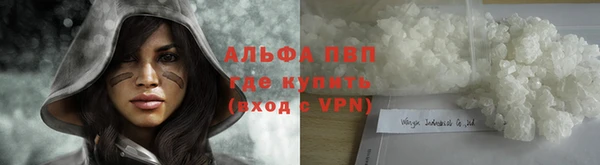 шишки Дмитров