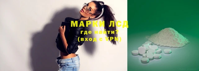 шишки Дмитров