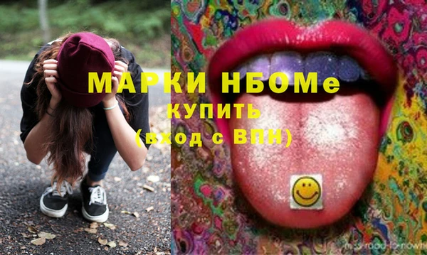 шишки Дмитров