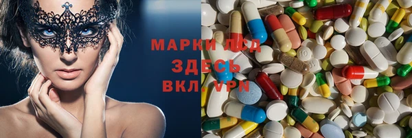 шишки Дмитров