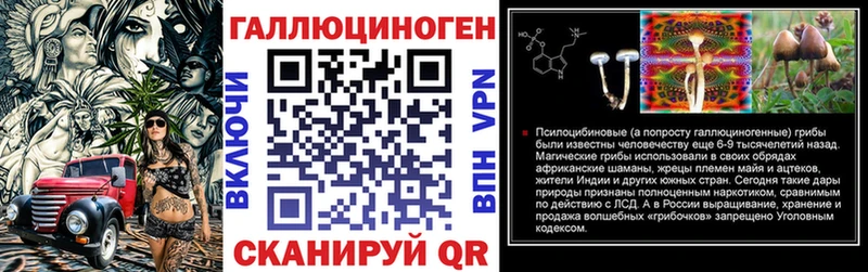 Псилоцибиновые грибы GOLDEN TEACHER  Купить закладки  Куса 
